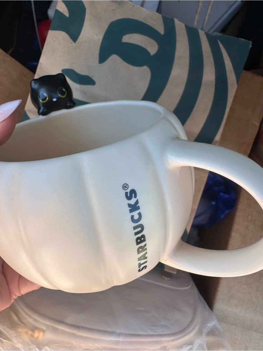 Starbucks Black Cat on Pumpkin mug